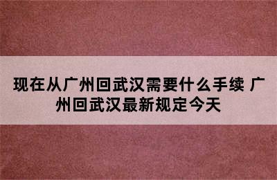 现在从广州回武汉需要什么手续 广州回武汉最新规定今天